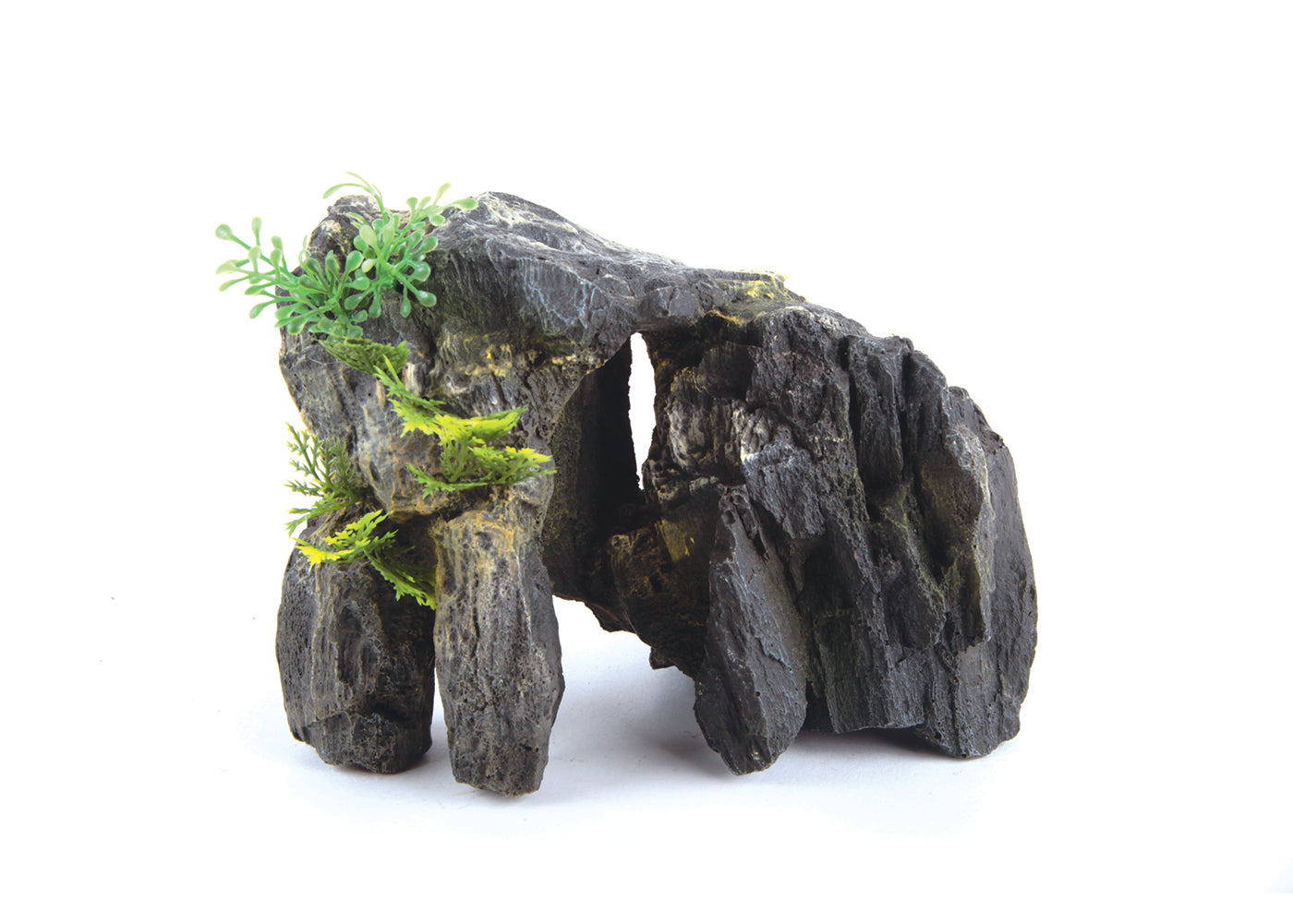 Kazoo Granite Rock With Plant 2