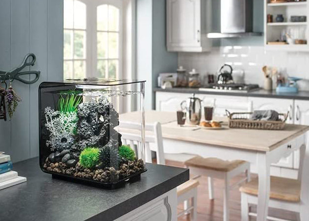 bioOrb Sea Fan White Small 3