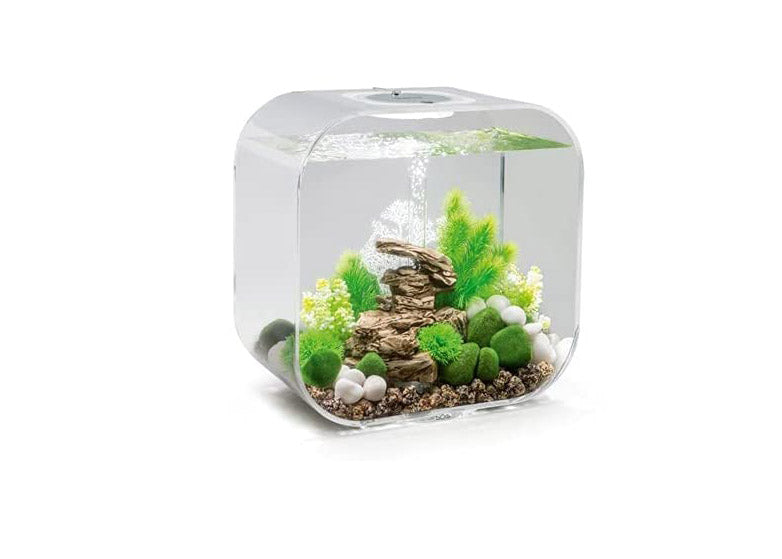 bioOrb Sea Fan White Small 4