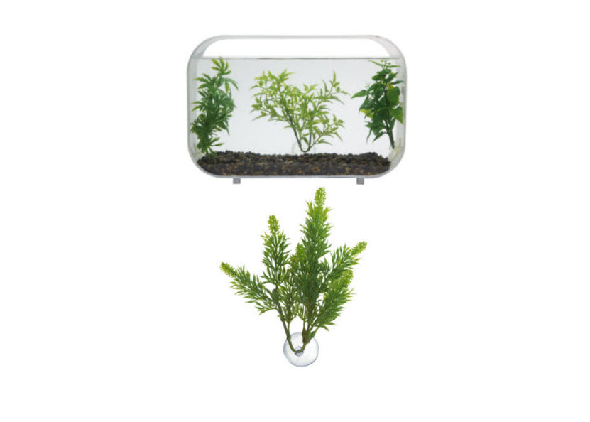 Zoo Med Betta Plant Salvia 2