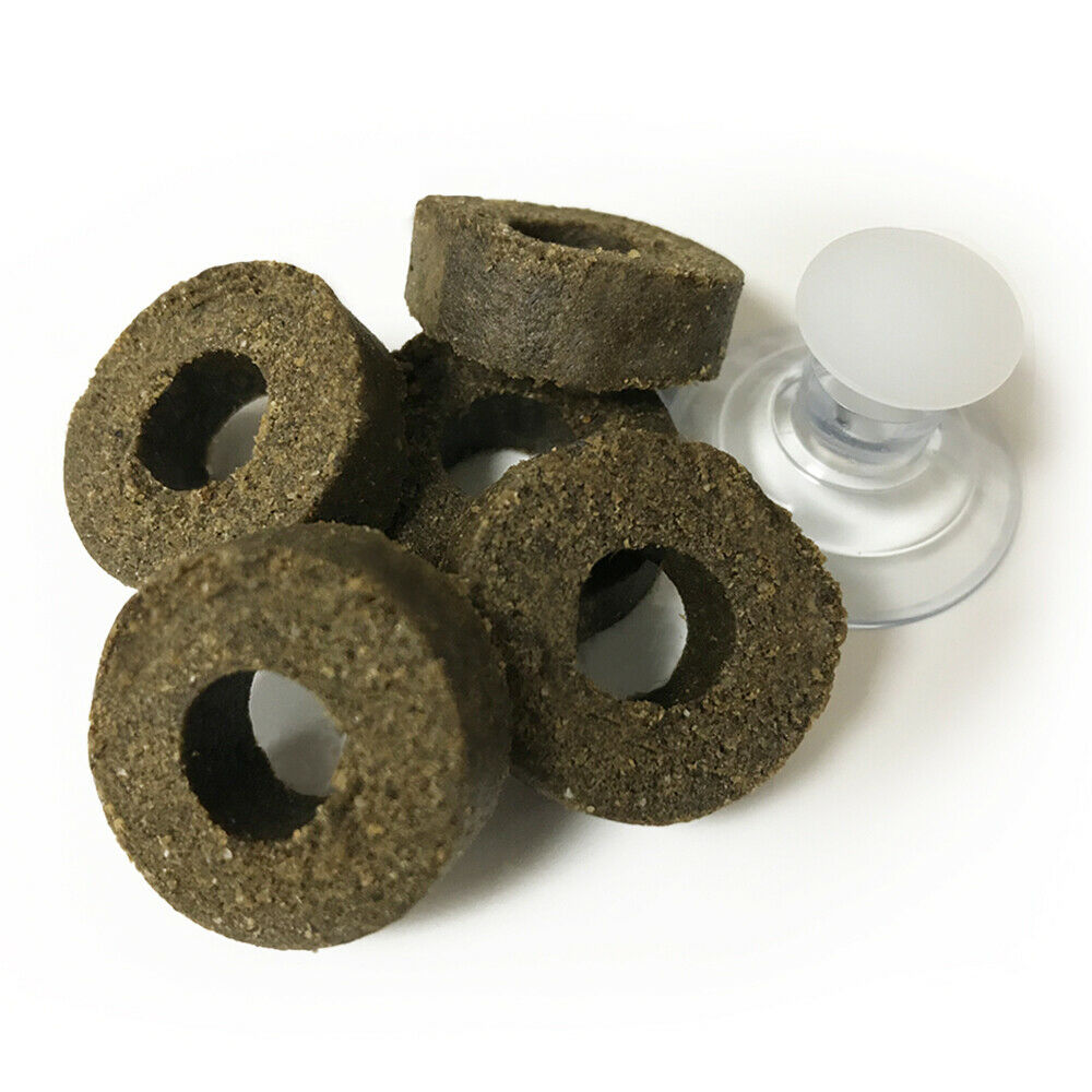 Vitalis Marine Grazer Mini 2