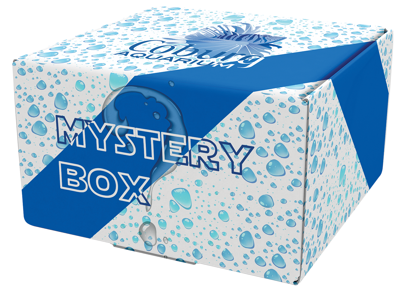 African Cichlid Mystery Box