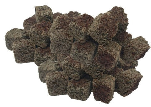 Australian Dried Black Worms 10g (cubes) 2