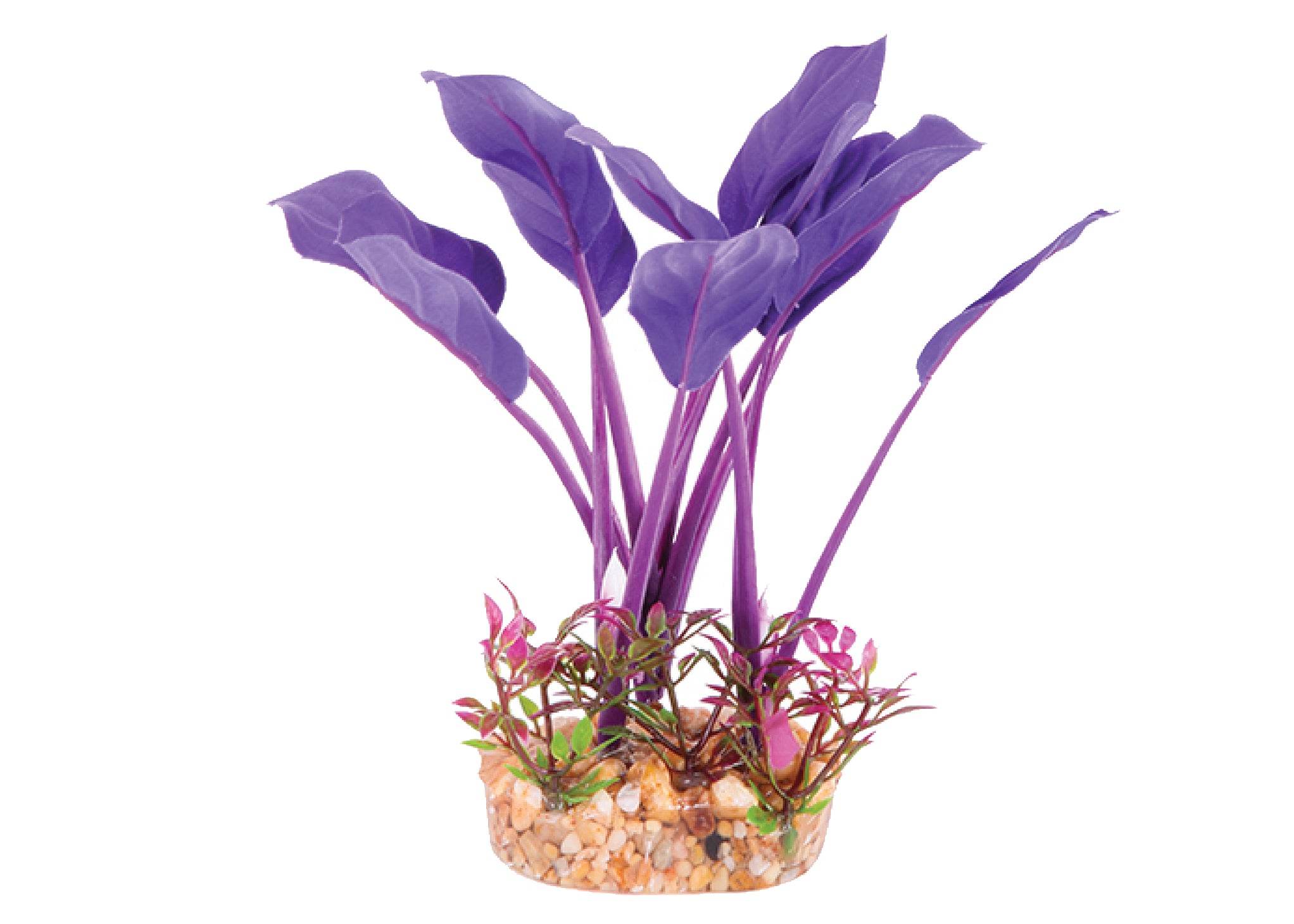 Kazoo Silk Plant Thin Leaf Purple