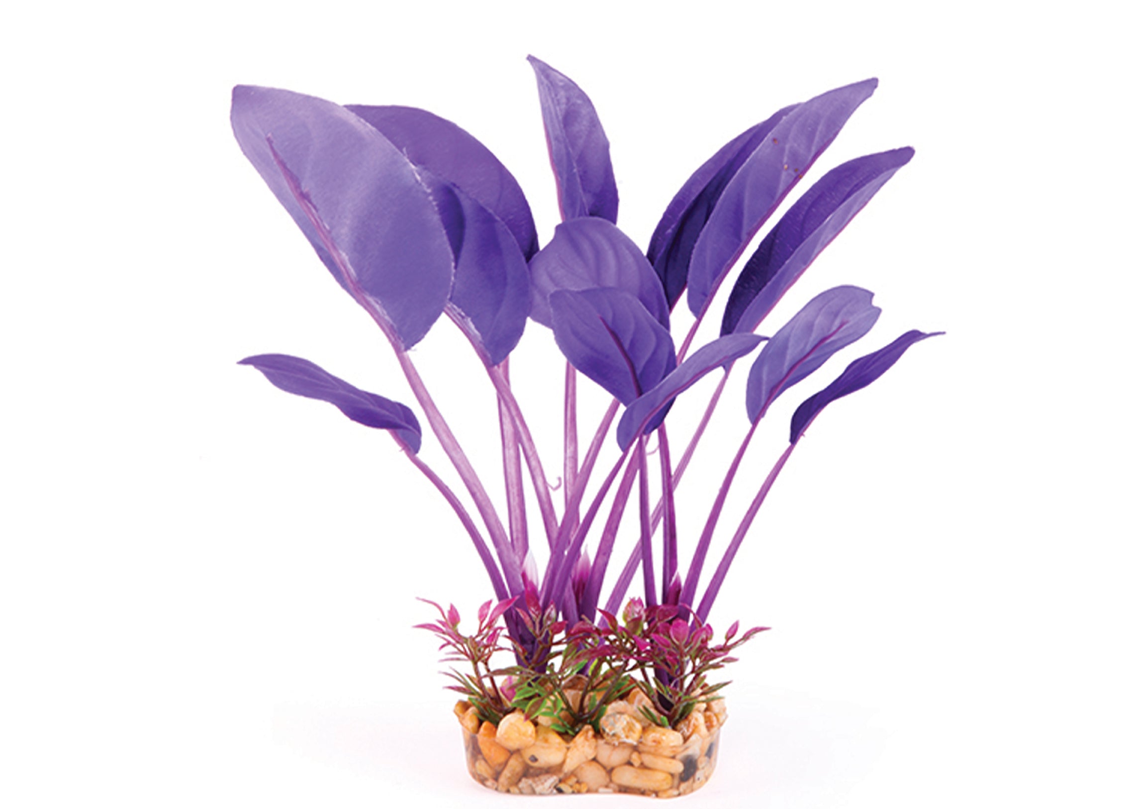 Kazoo Silk Plant Thin Leaf Purple 2
