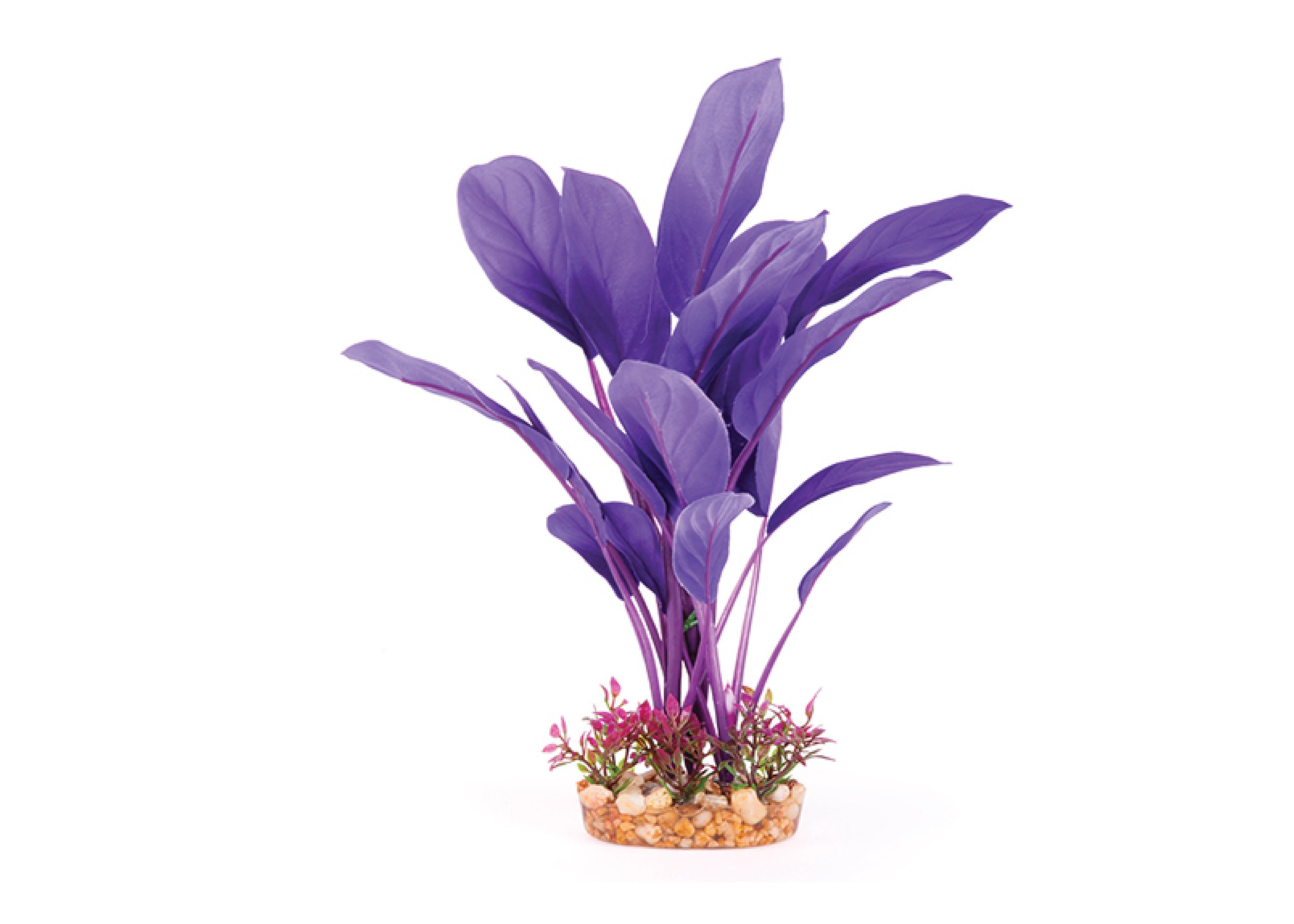 Kazoo Silk Plant Thin Leaf Purple 3
