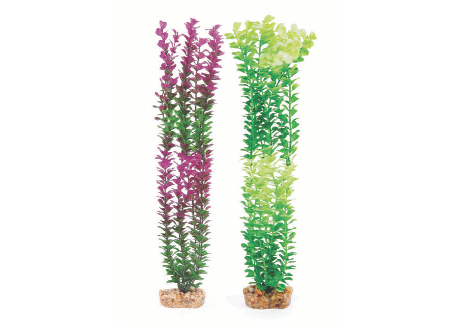 Kazoo Plastic Plant Small Leaf Purple/White 3