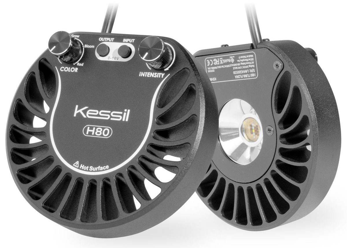 Kessil H80 Tuna Flora 3
