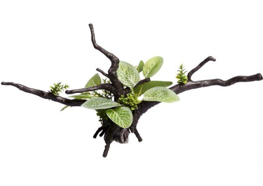 Aqua One Ecoscape Calathea Driftwood Green - discontinued