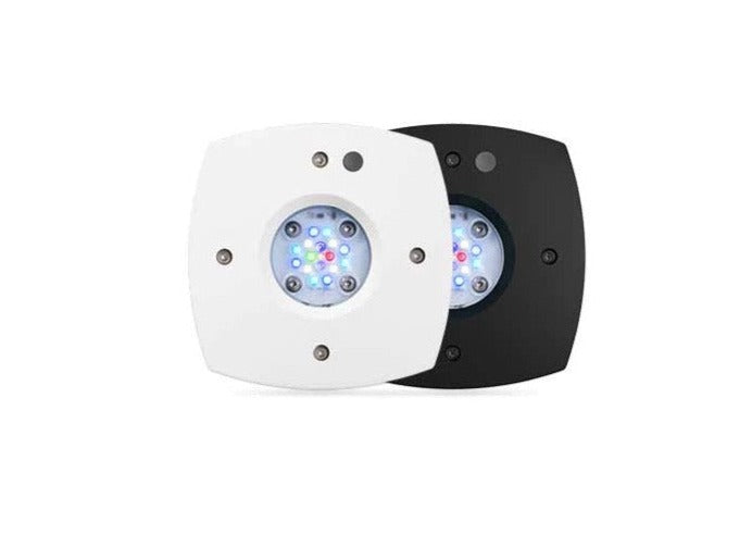 Aqua Illumination Prime 16HD Fuge - Refugium LED Light