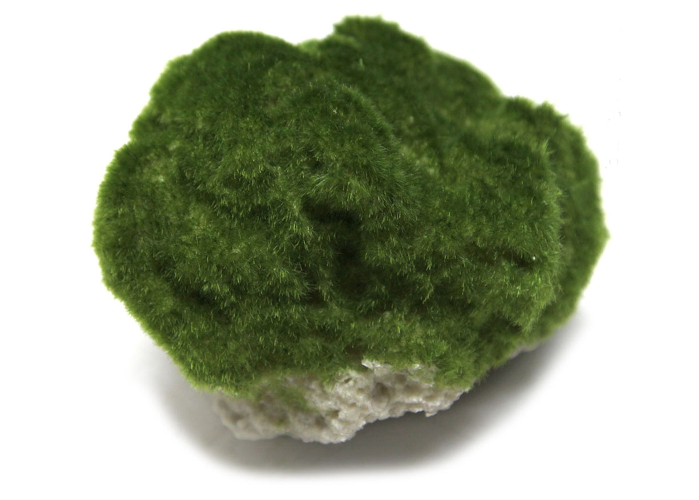 Aqua One Floating Lava Stone With Moss Ornament 2