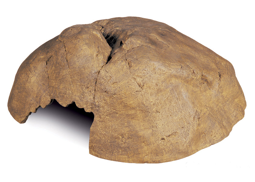 Exo Terra Reptile Cave 4