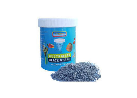 Australian Dried Black Worms (loose) 2