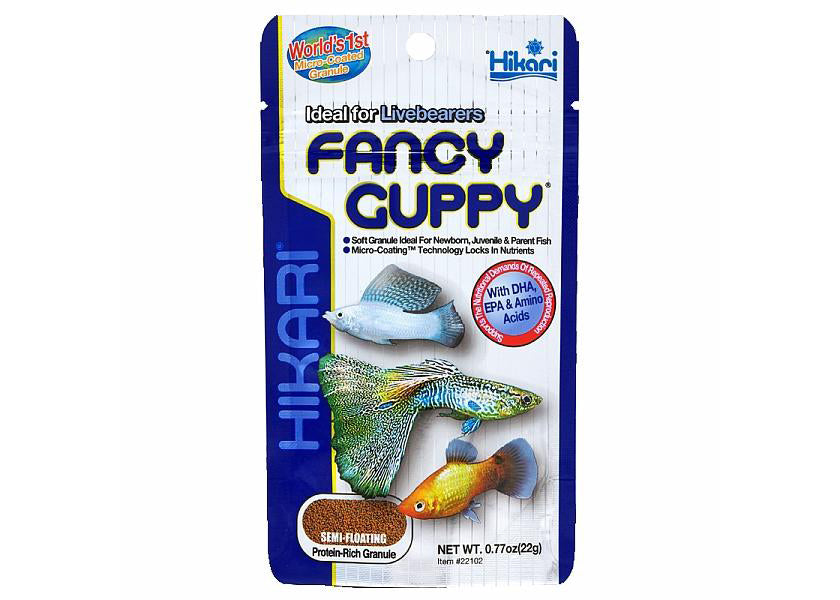 Hikari Fancy Guppy