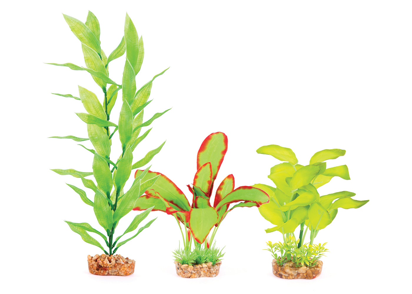 Kazoo Silk Plant Multipack 2 2