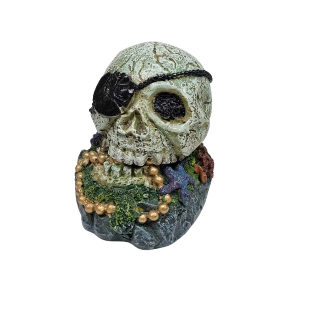 WLPET - Pirate Skull - Aquatic Ornament