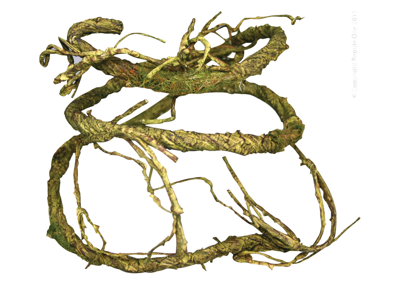 Reptile One Plant Reptile Vine-jungle Twist Moss 2