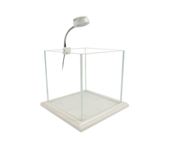 Zetlight White Mini LED - 6500K