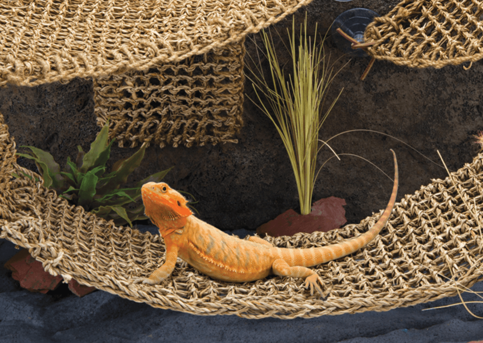 Penn Plax Lizard Loungers Window Hammock 2