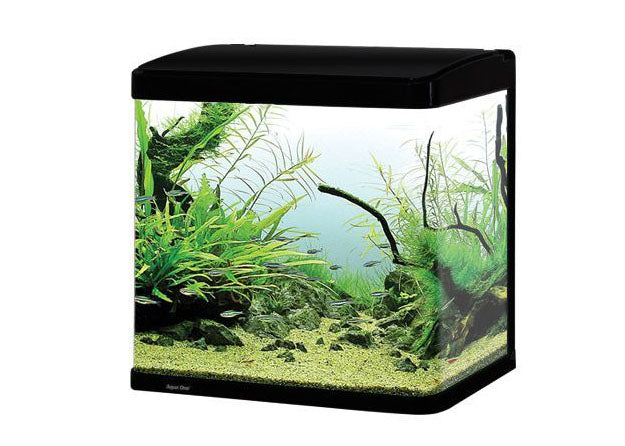 Aqua One LifeStyle 52 Complete Glass Aquarium 51cm 52L Gloss Black 4