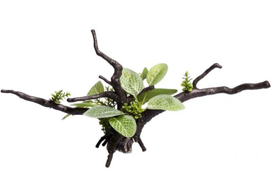 Aqua One Ecoscape Ignotous Driftwood Green