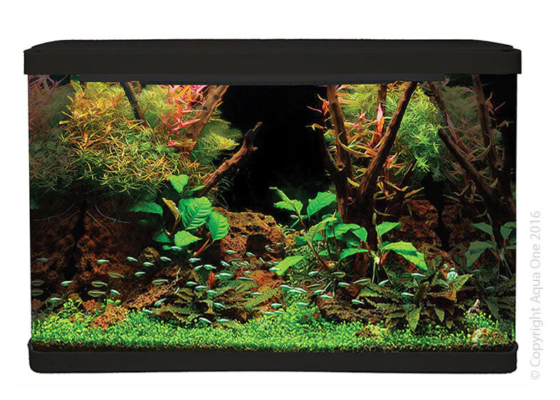 Aqua One LifeStyle 127 Complete Glass Aquarium 80cm 127L Gloss Black 2