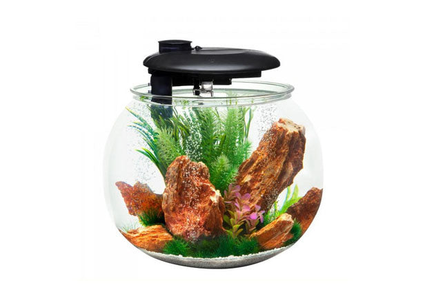 Aqua Sphere 360 Circular Aquarium
