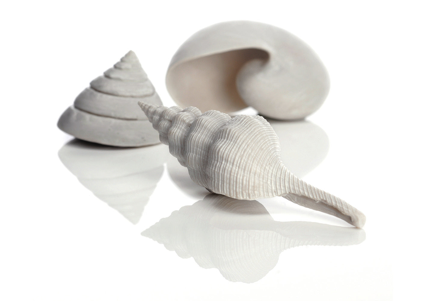biOrb Sea Shell (3 Set)