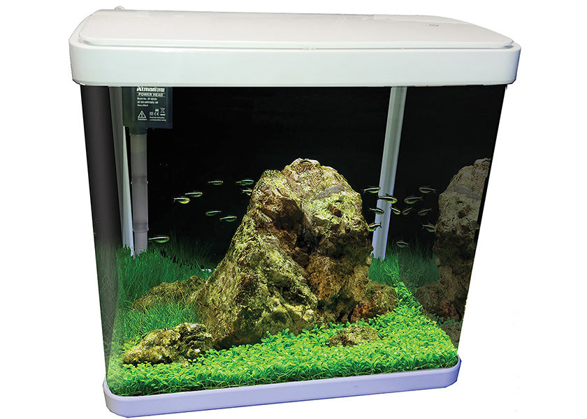 Aqua One LifeStyle 29 Aquarium 2