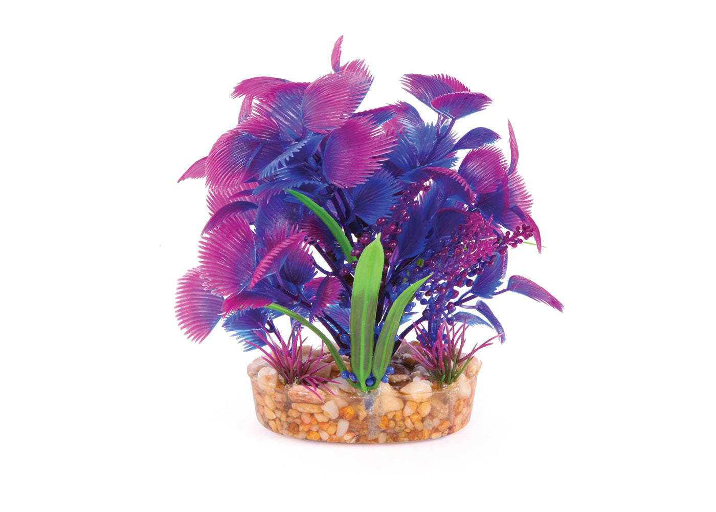 Kazoo Maroon With Assorted Leaf Combination Bush