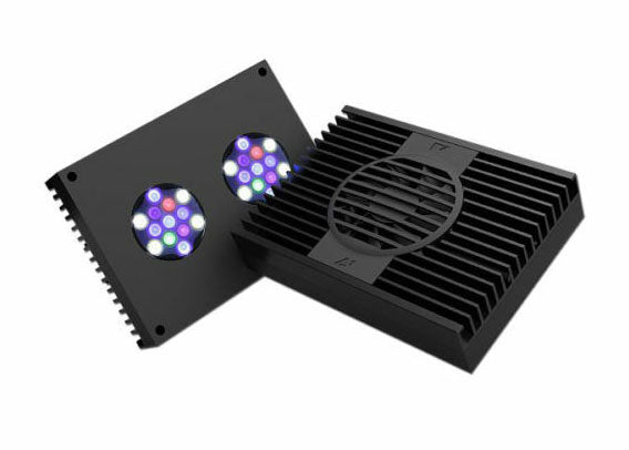 Aqua Illumination Hydra 32 Black 2