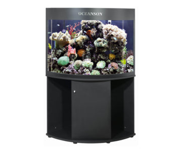 Oceanson C800 - 80cm Curved Front Corner Aquarium with Back Filter and Cabinet