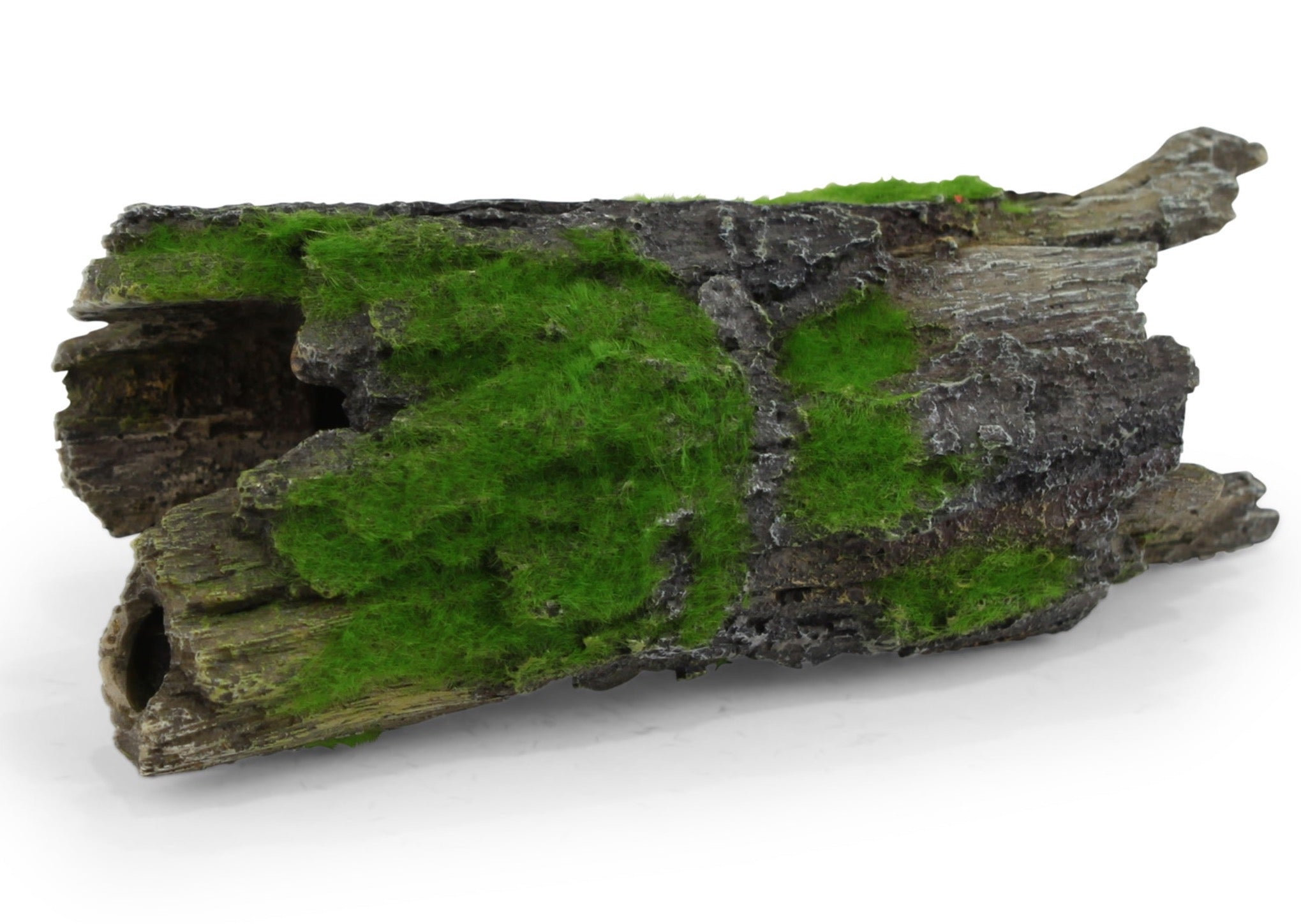 Kazoo Driftwood With textured Moss 2