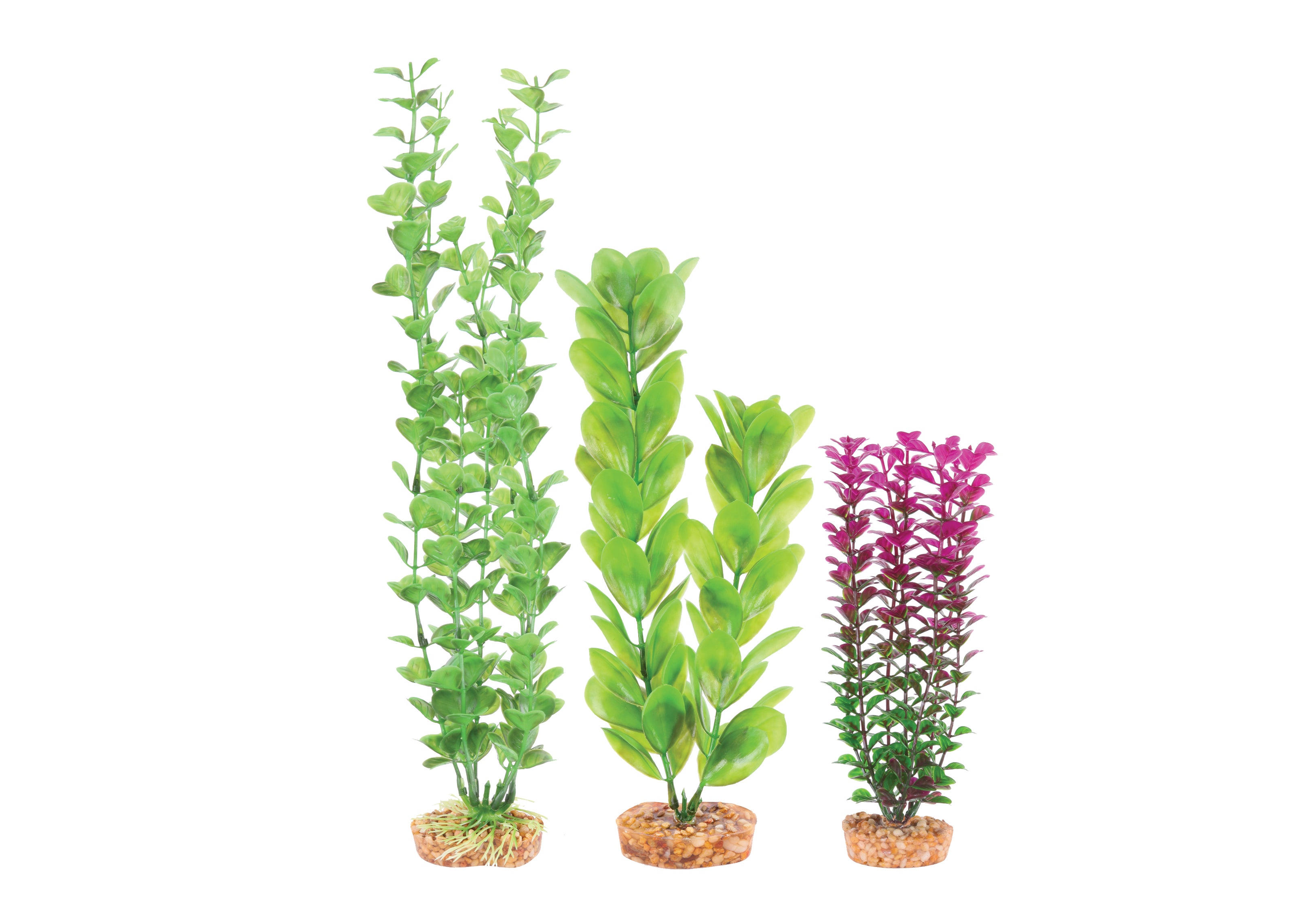 Kazoo Plastic Plant Multipack 1