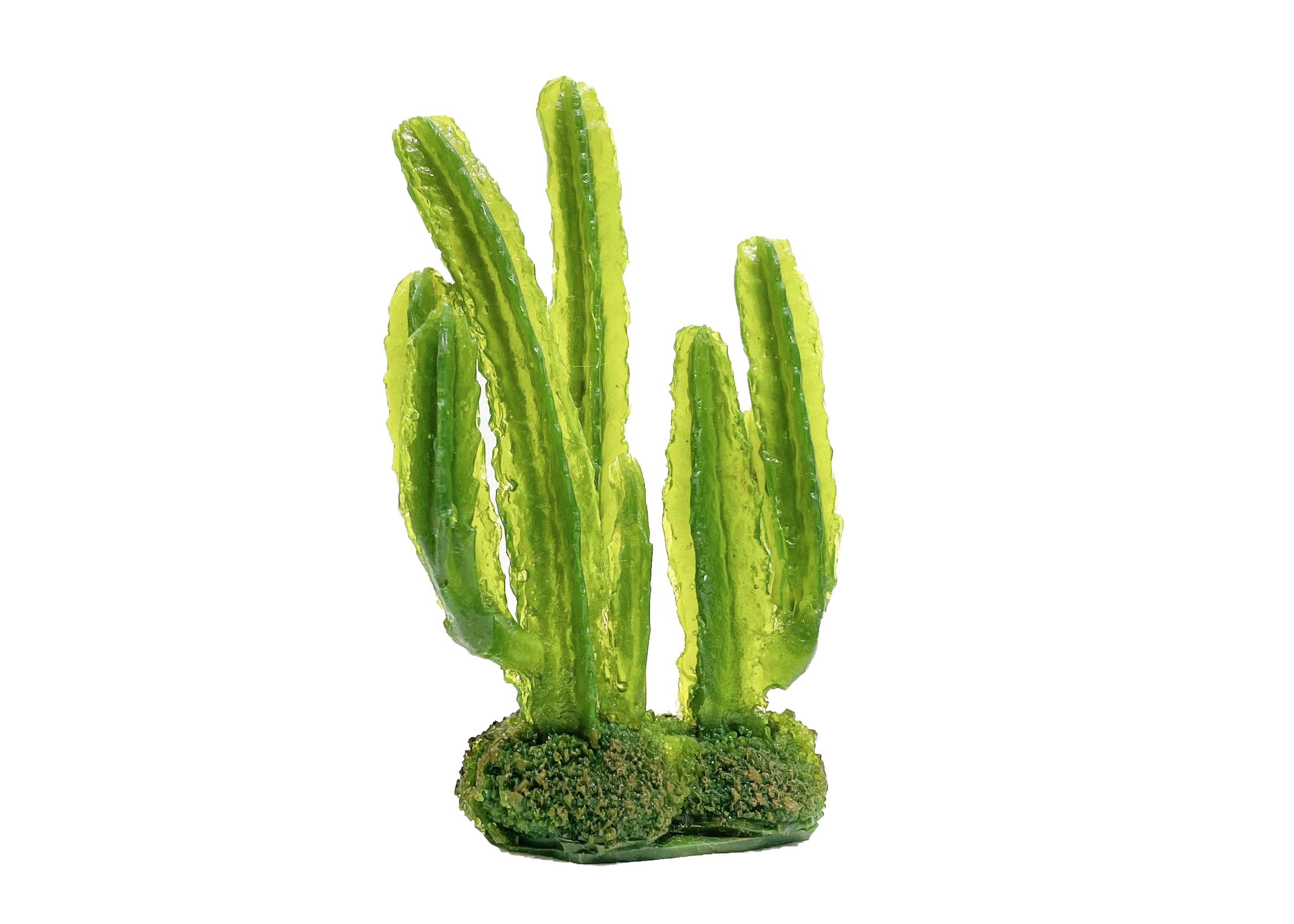 Reptile One Euphorbia Esitrea Cactus - discontinued