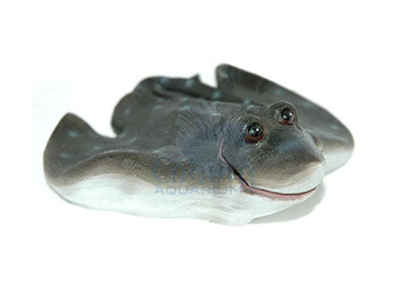 Aqua One Air-Operated Manta-Ray Ornament U-461 16