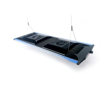 Zetlight 200W QMaven LED - 12000K