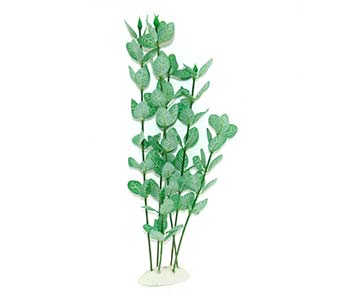Hailea Bacopa Silk Plant