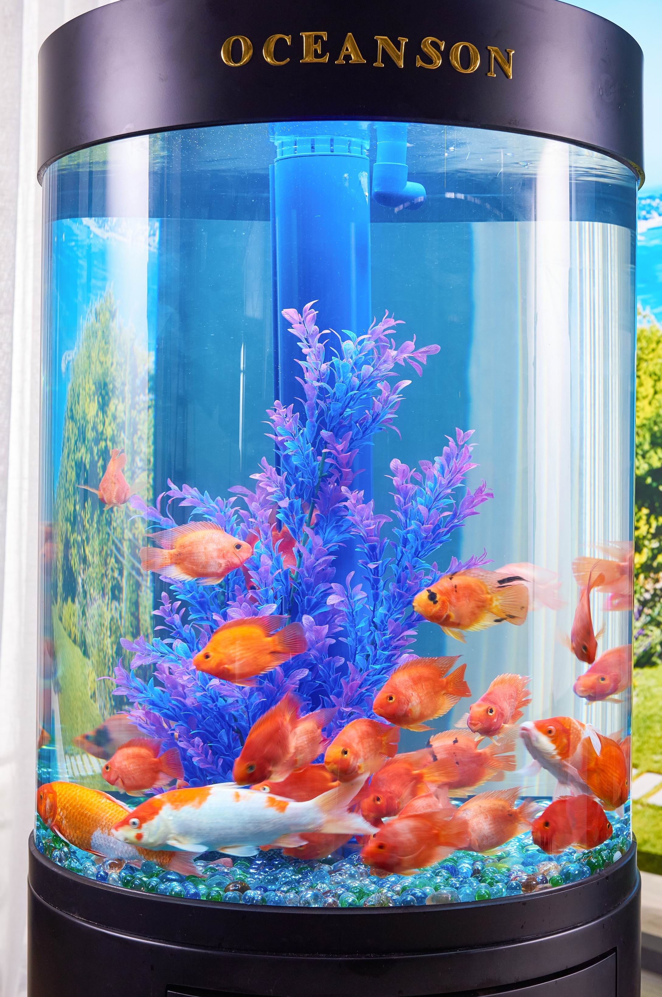 Oceanson V5-068M 68cm Diameter x 108cm / 65cm Aquarium, Stand and Sump 2