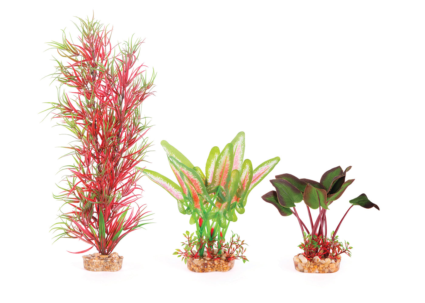 Kazoo Silk Plant Multipack 1 2