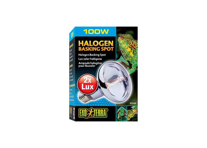 Exo Terra Halogen Basking Spot Lamp for Reptiles 3