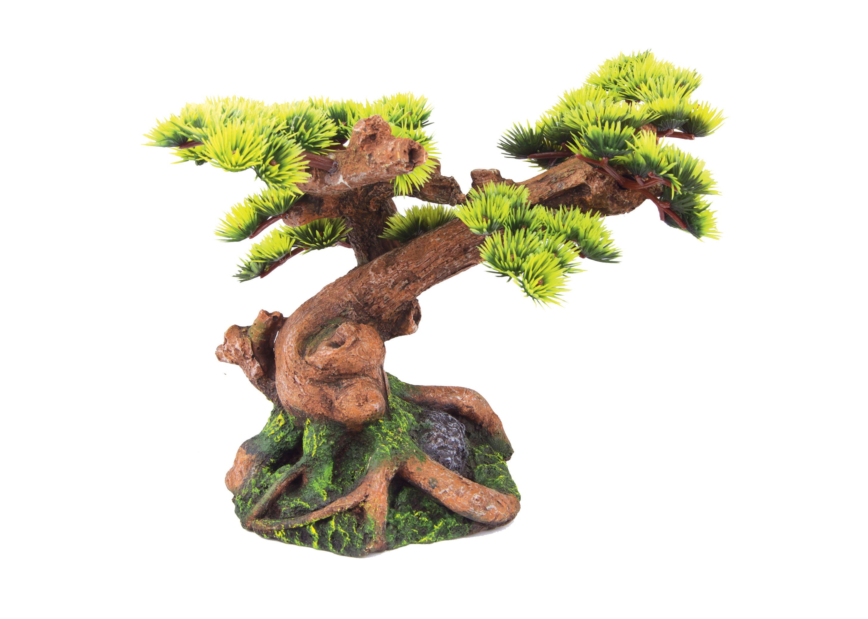 Kazoo - Bonsai Plant 2