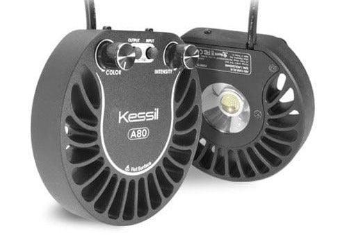 Kessil A80 - Tuna Blue