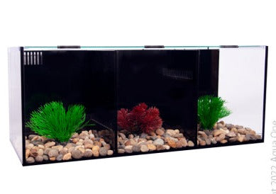 Betta Condo Trio 60x24x24cm