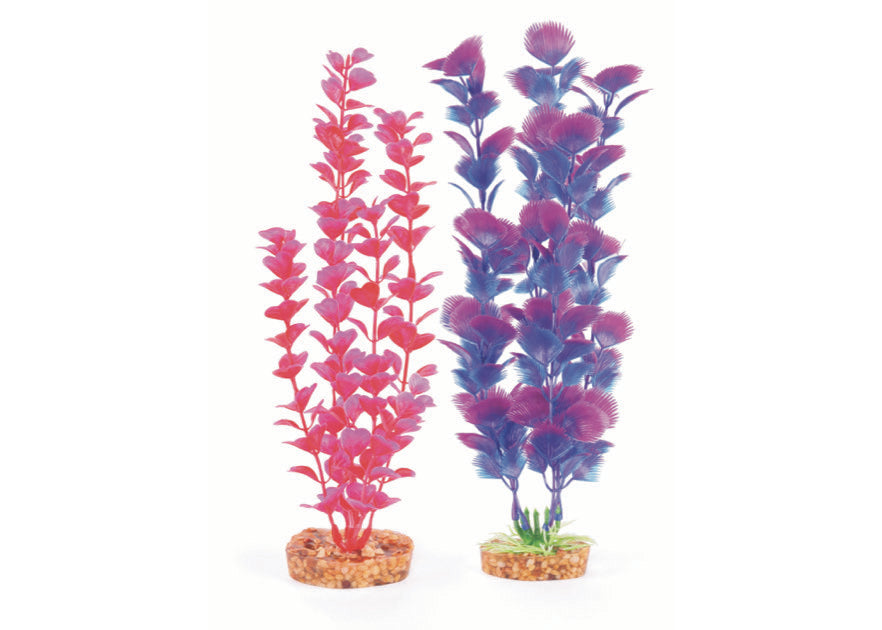 Kazoo Plastic Plant Medium Leaf Pink/Purple 2
