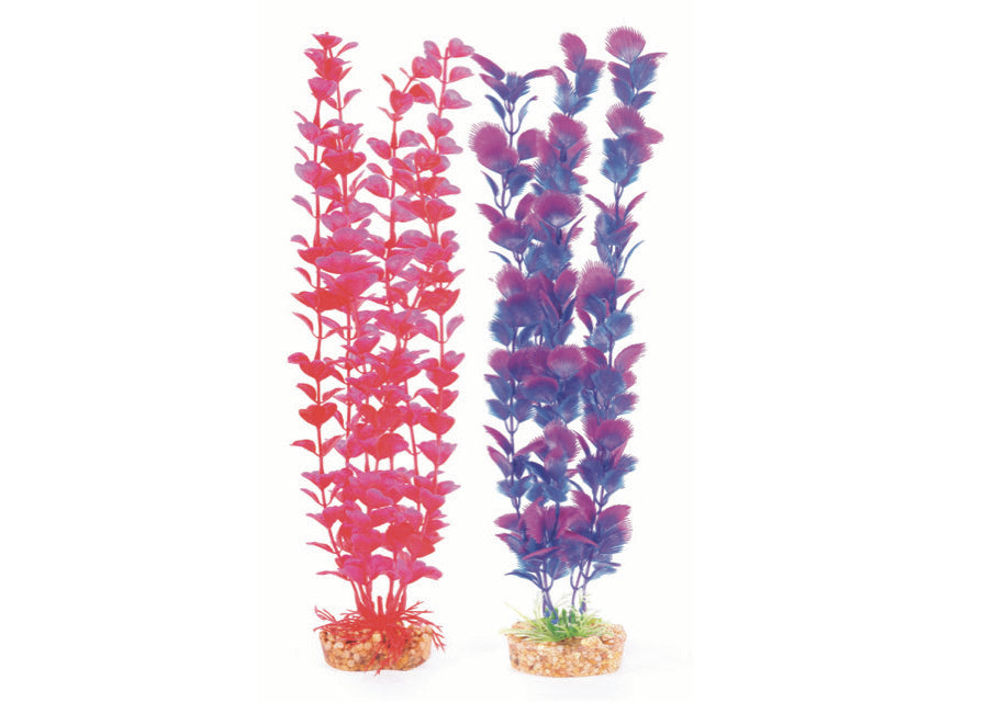 Kazoo Plastic Plant Medium Leaf Pink/Purple 3