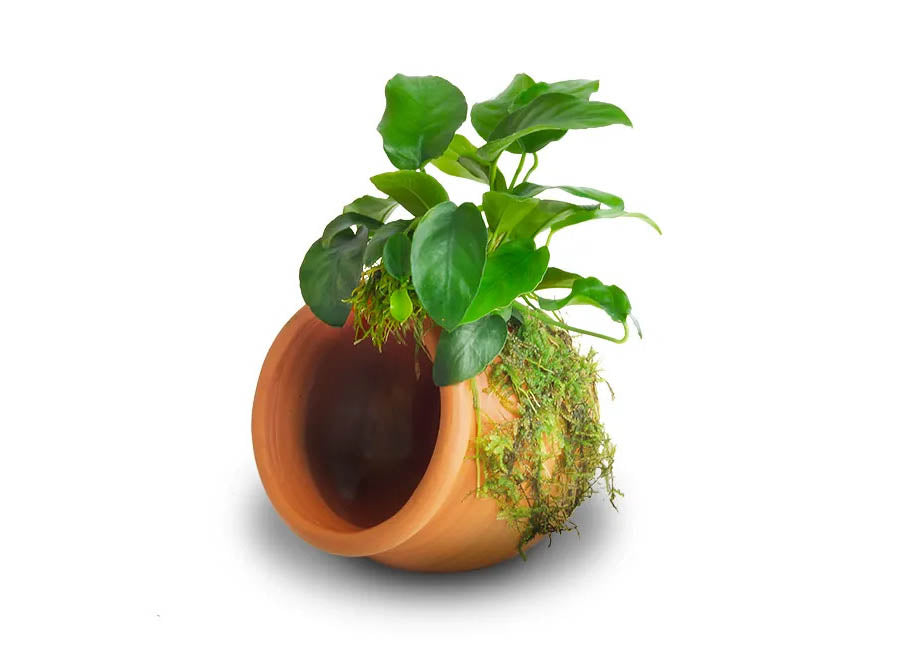 Bare Terracotta Urn 2