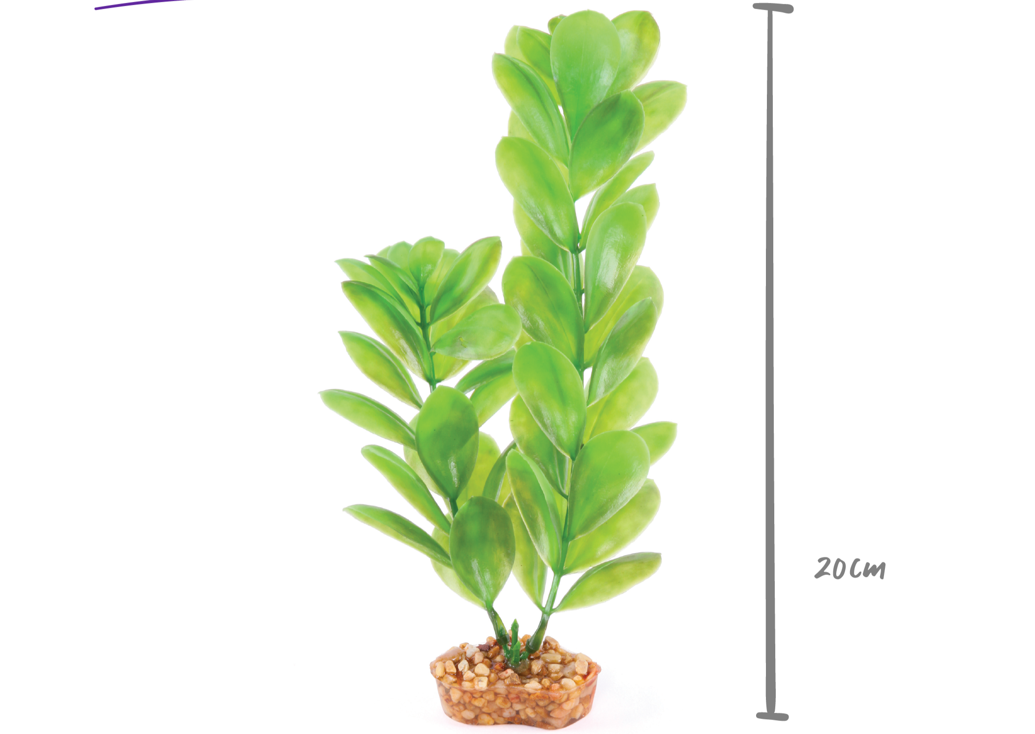 Kazoo Plastic Plant Decorative Large Leaf Green
