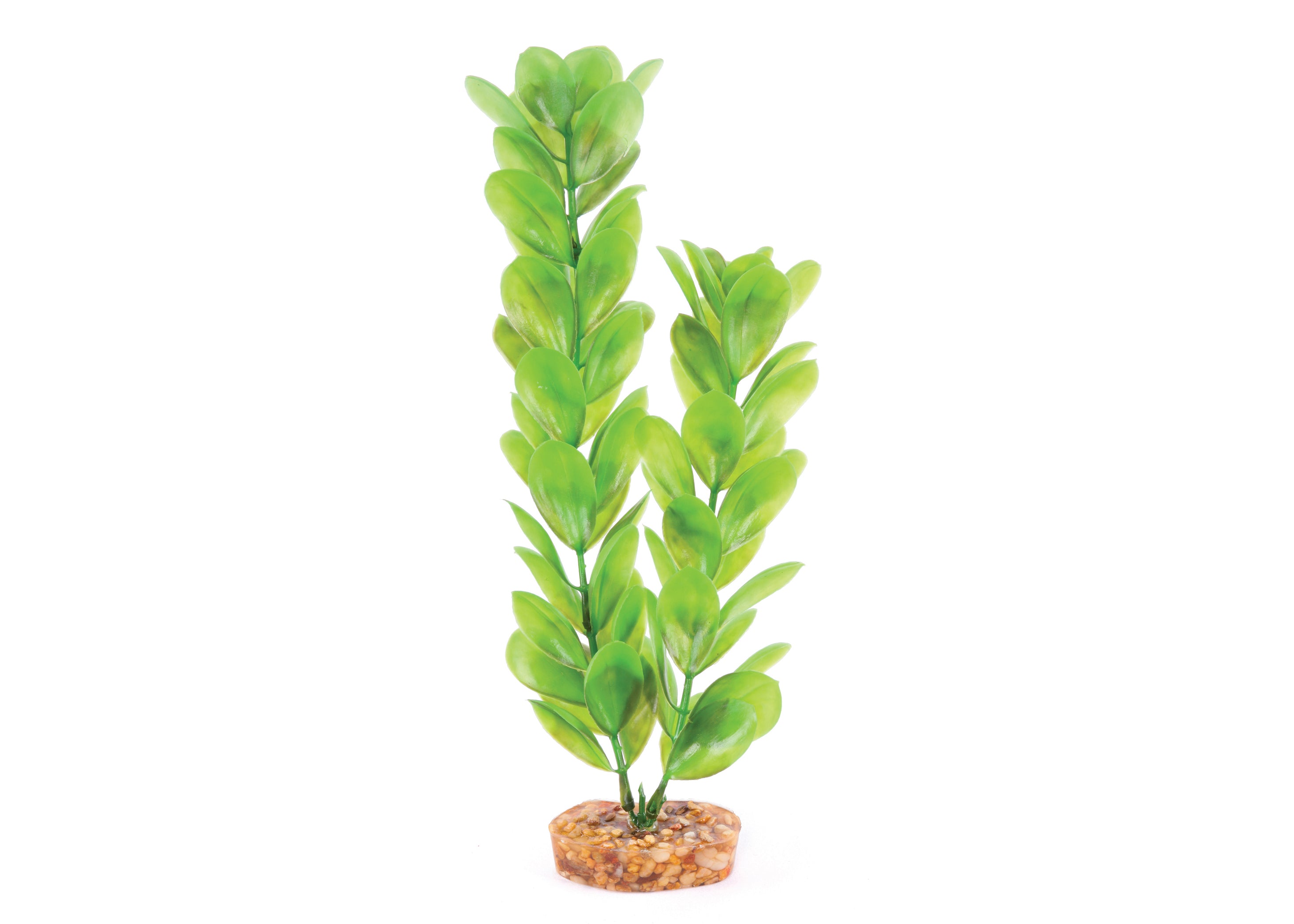 Kazoo Plastic Plant Decorative Large Leaf Green 2