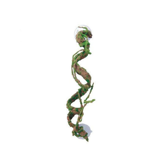 Eco Tech Corkscrew Vine 40cm